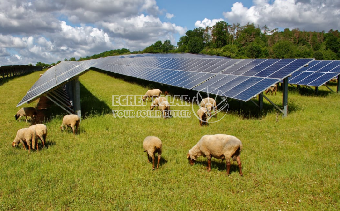 Egret Solar Yeni Enerji Teknolojisi ile Smart Concept Enerji Arasında Stratejik İş Birliği